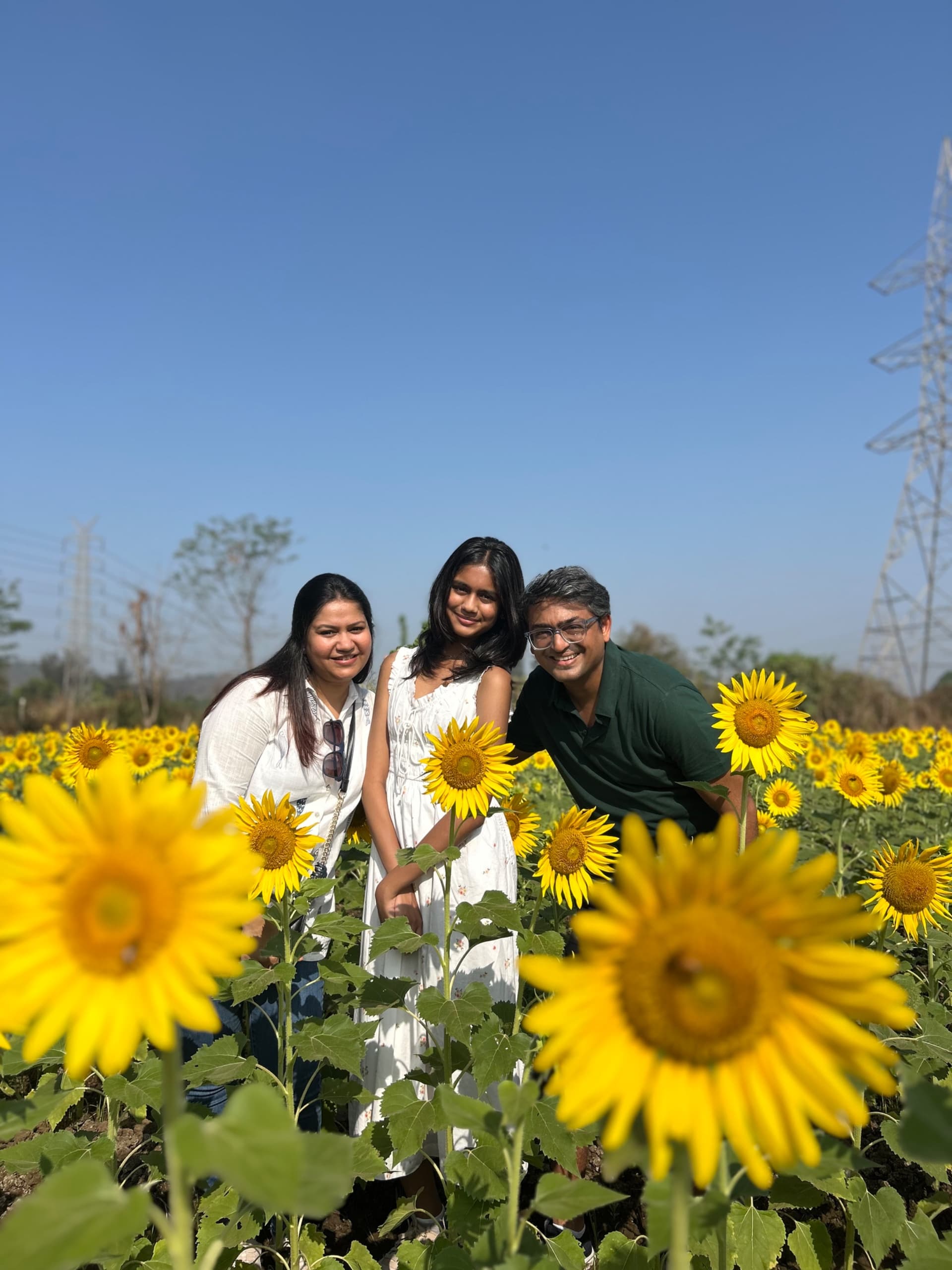 Family Sunflower Farm visit