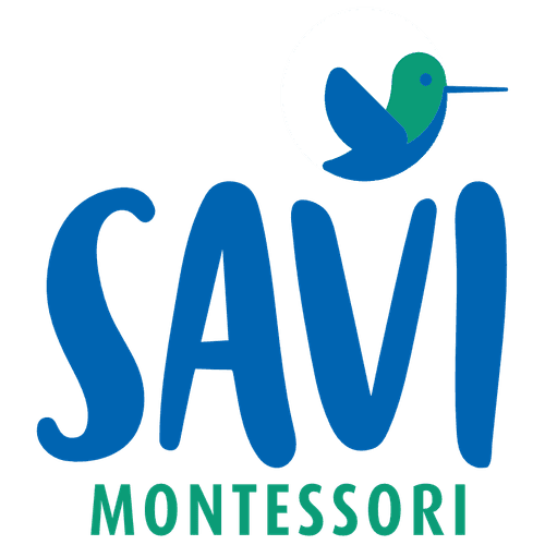 Savi Montessori School